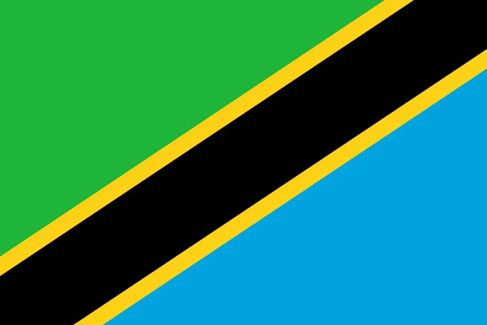 Tanzania Flag